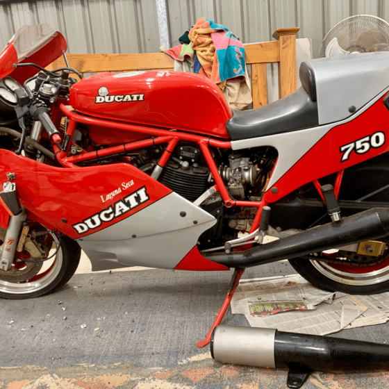 Ducati 750F1 for sale